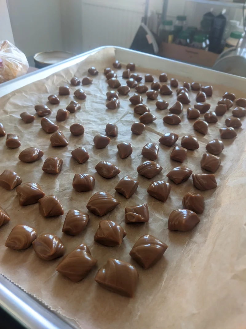 Kuva: Heinäkuu 2024