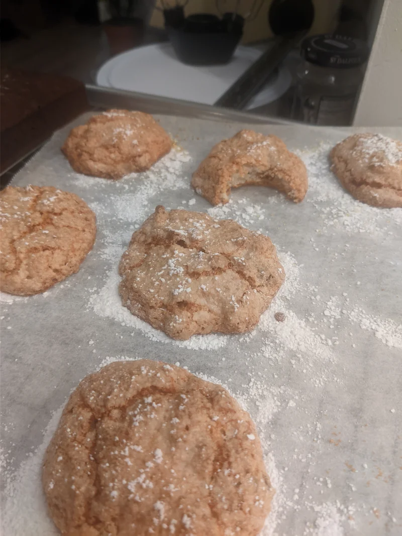 Kuva: Marraskuu 2025